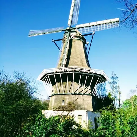 H 58 * אמסטרדם